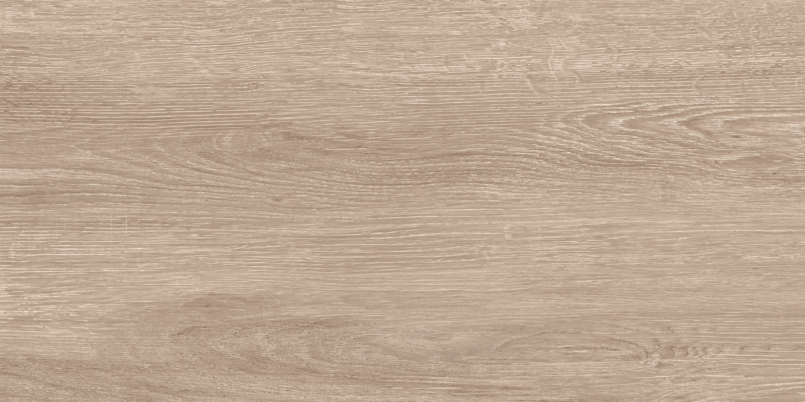 Кедр / Cedar