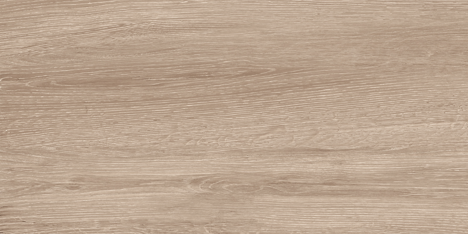 Кедр / Cedar