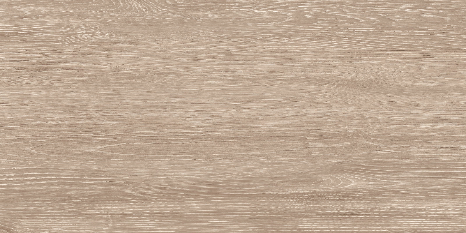 Кедр / Cedar