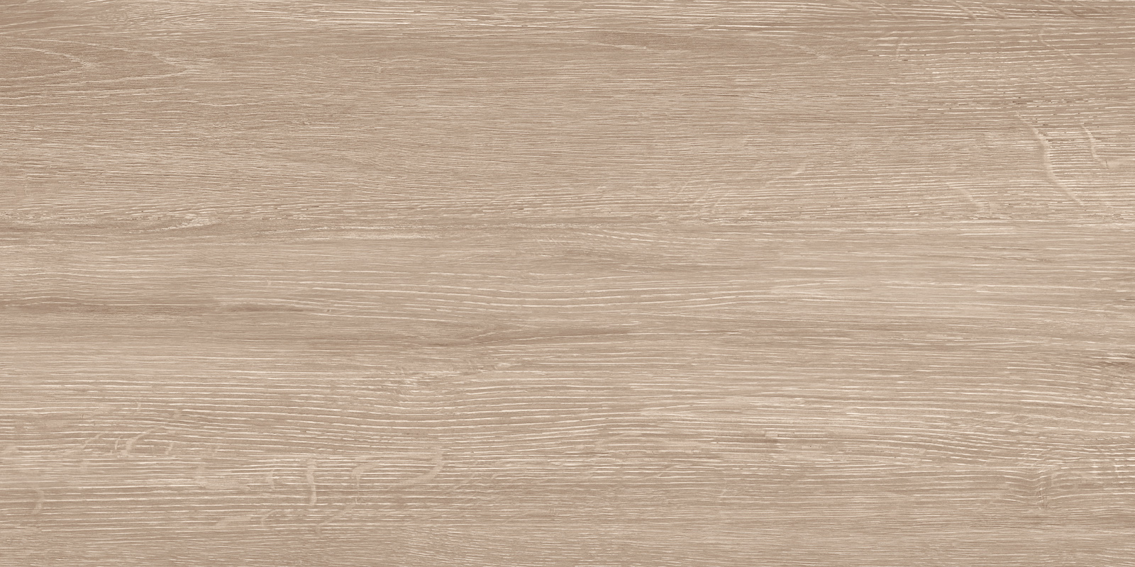 Кедр / Cedar