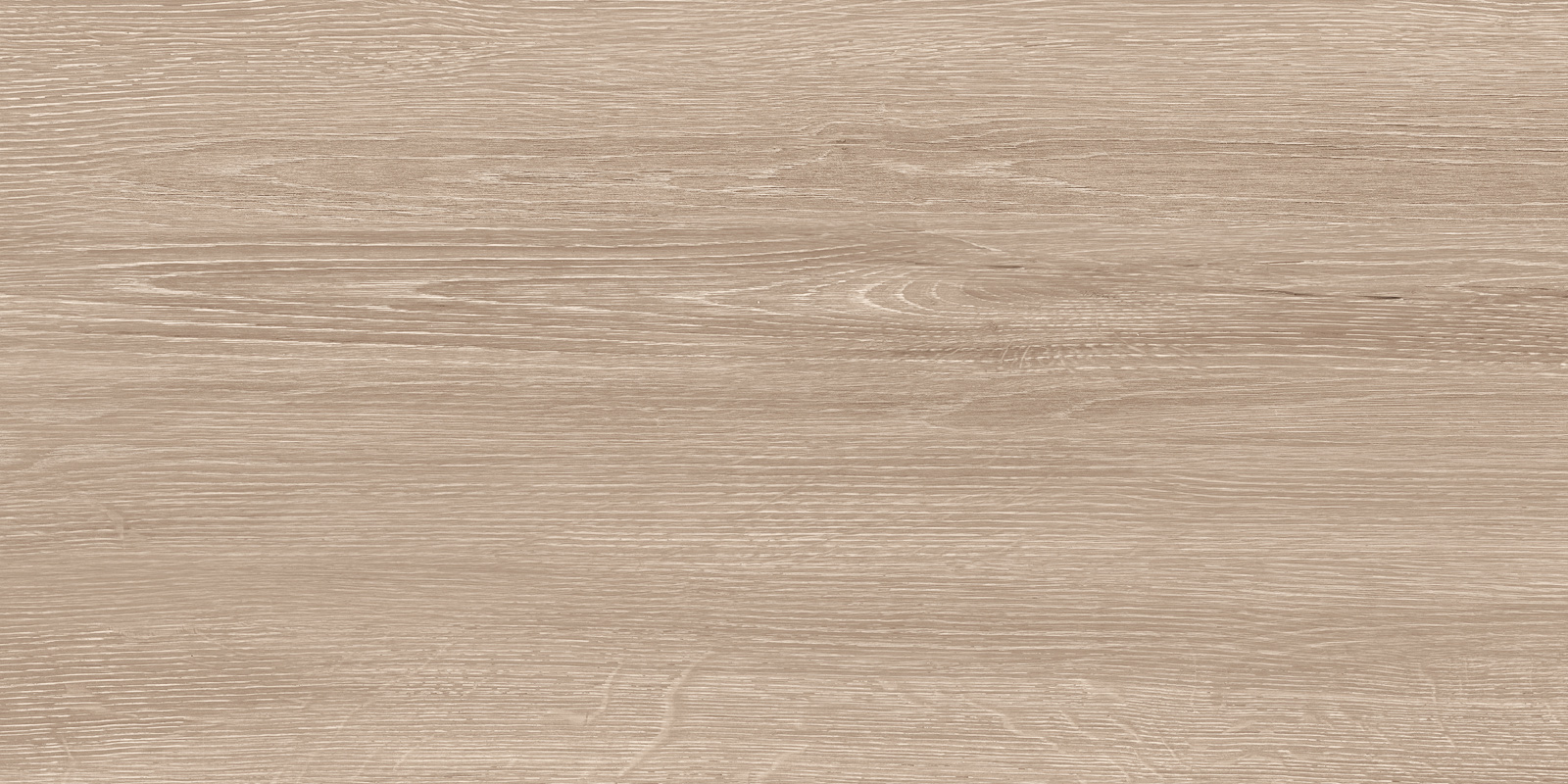 Кедр / Cedar